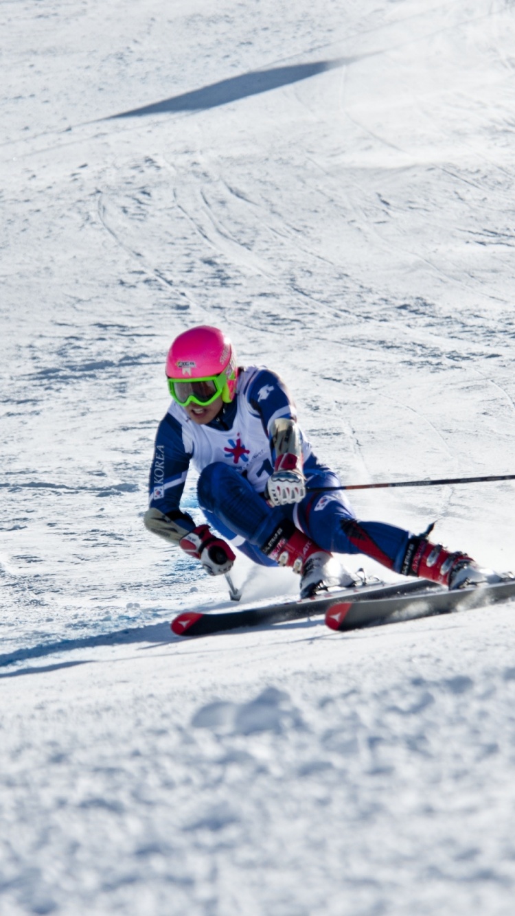 Winter Mountains Skiing