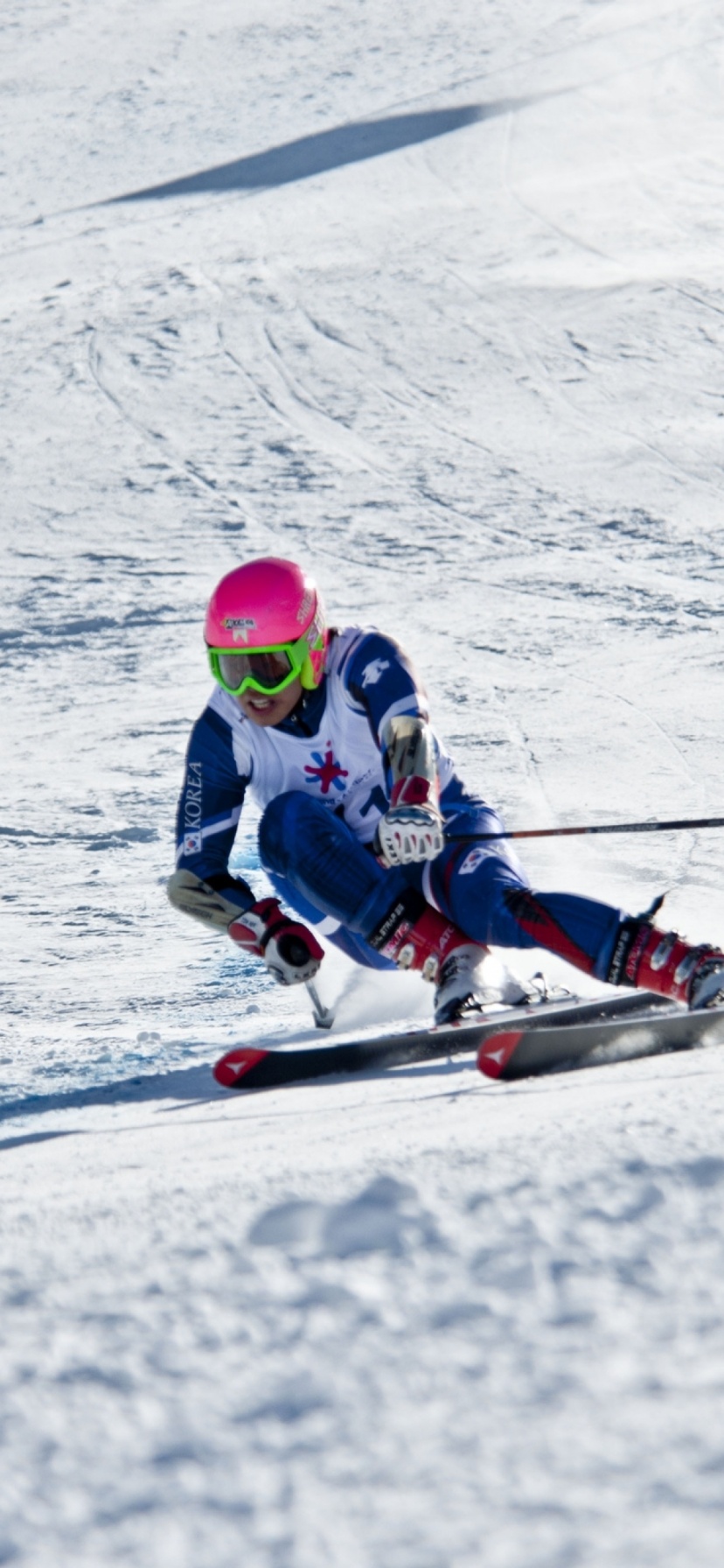 Winter Mountains Skiing