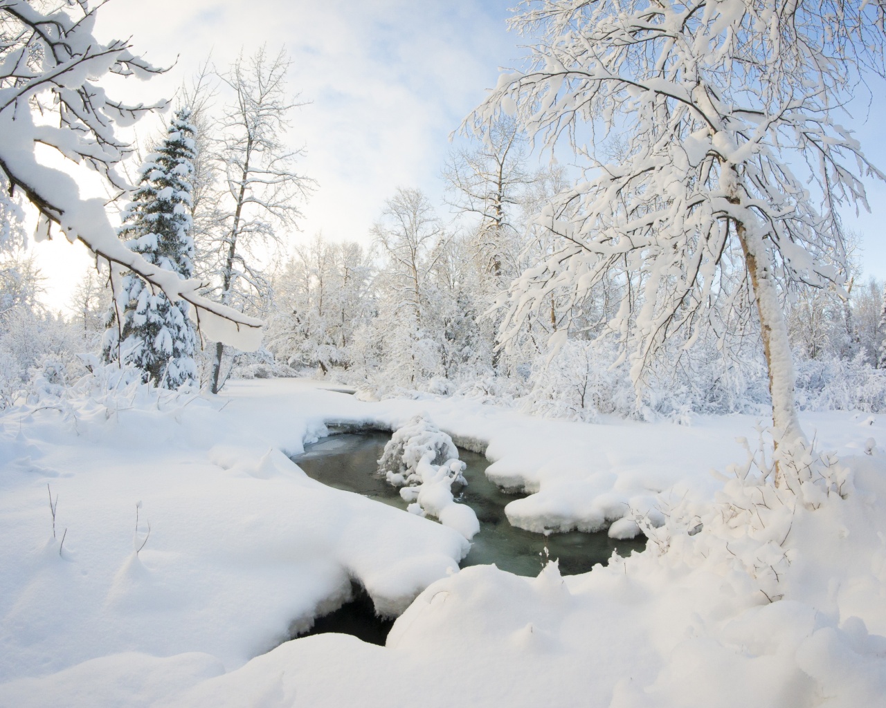 Winter Snow Ice Stream Nature