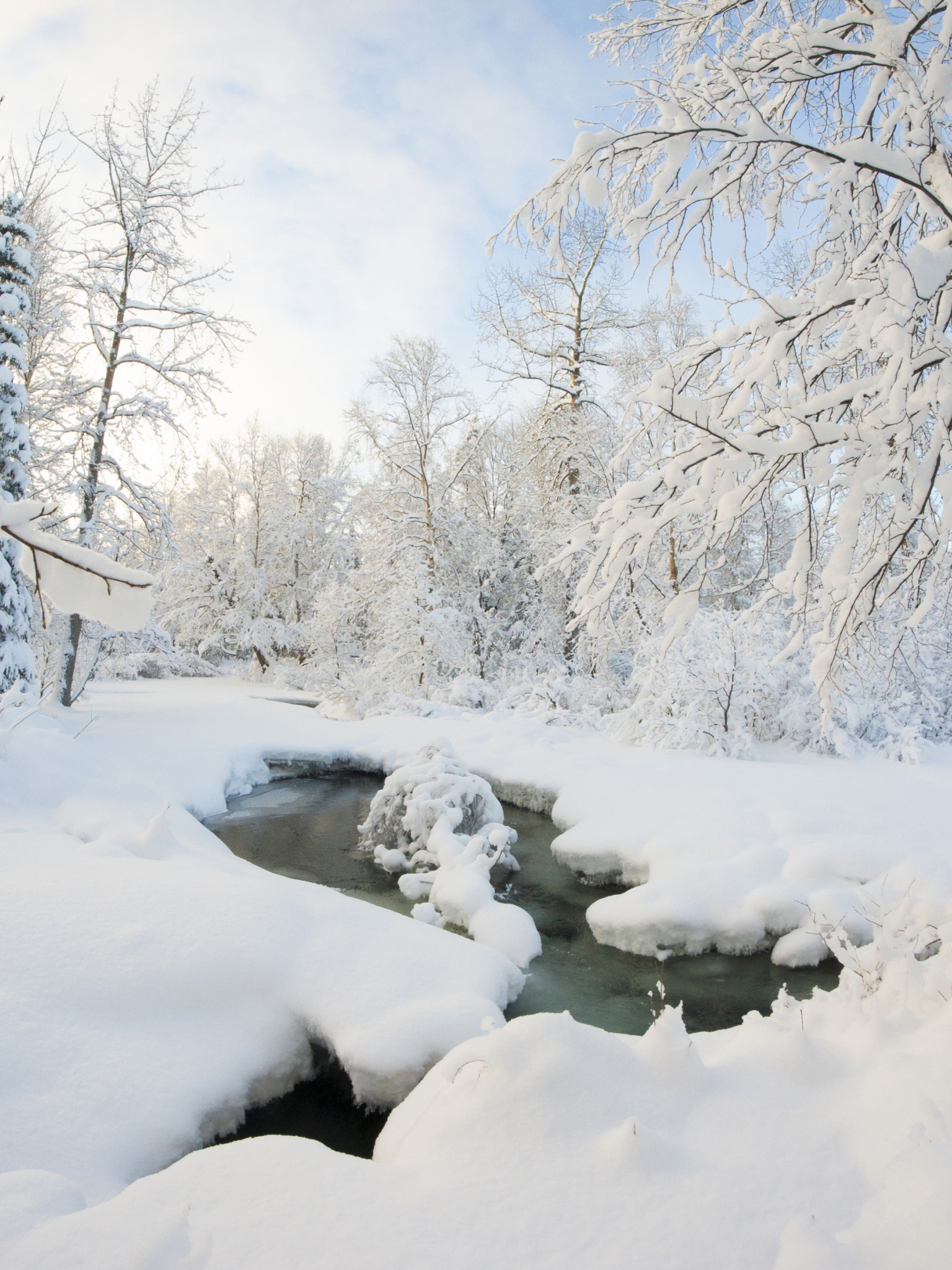 Winter Snow Ice Stream Nature