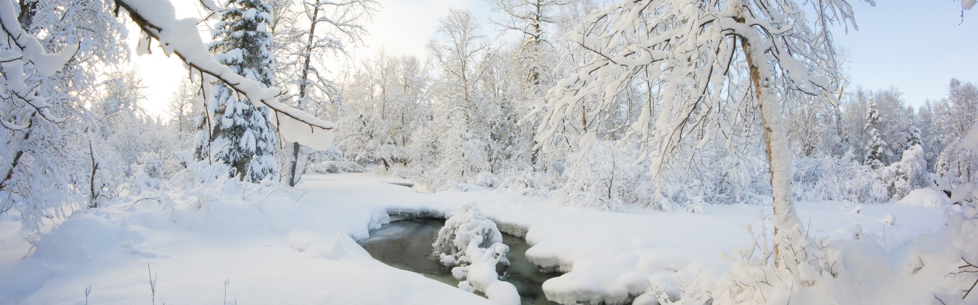 Winter Snow Ice Stream Nature