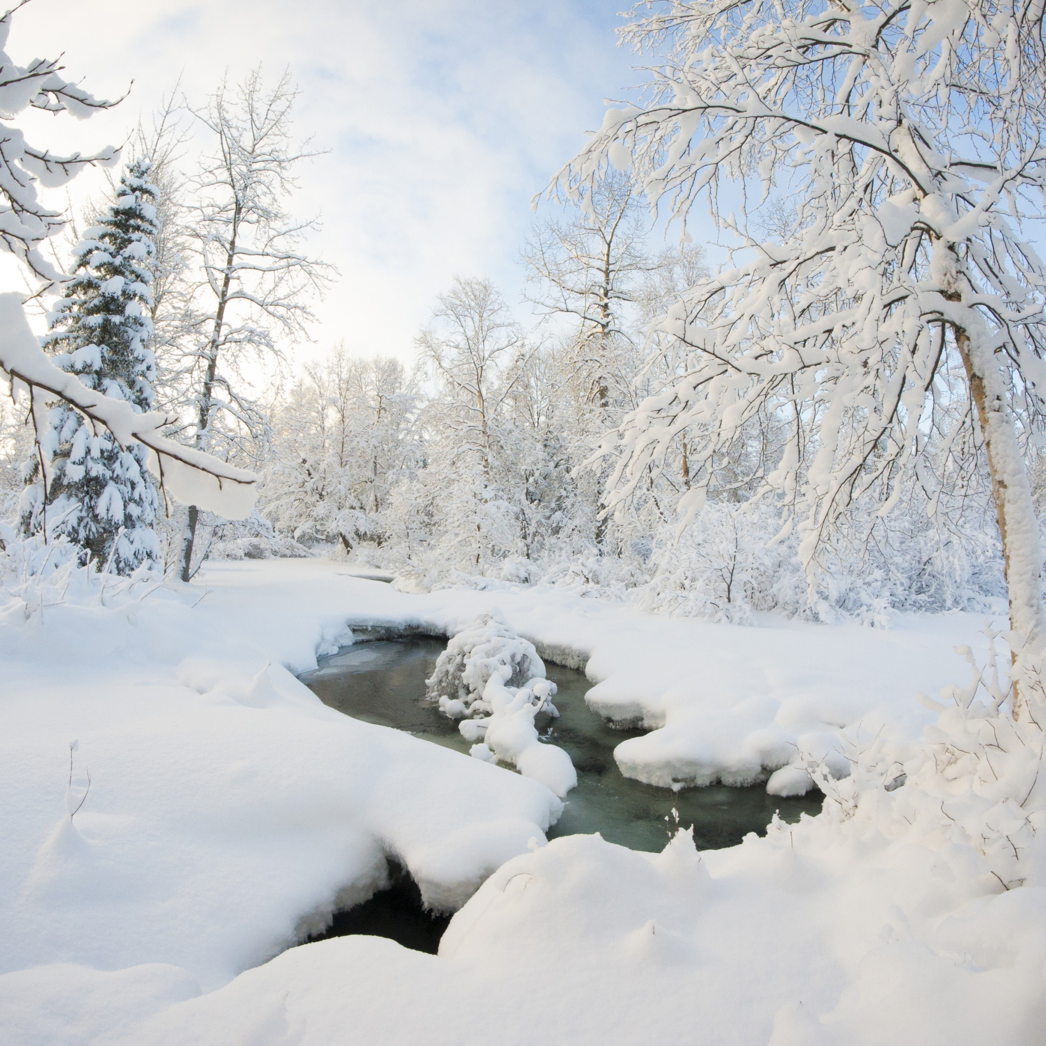 Winter Snow Ice Stream Nature