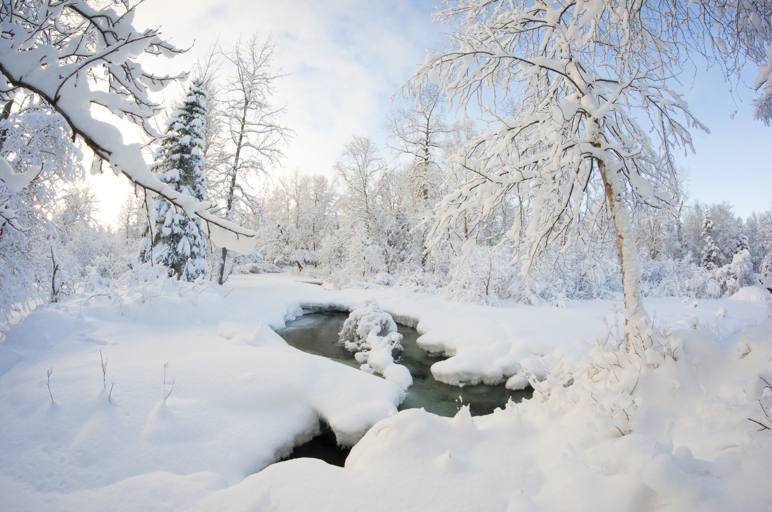 Winter Snow Ice Stream Nature