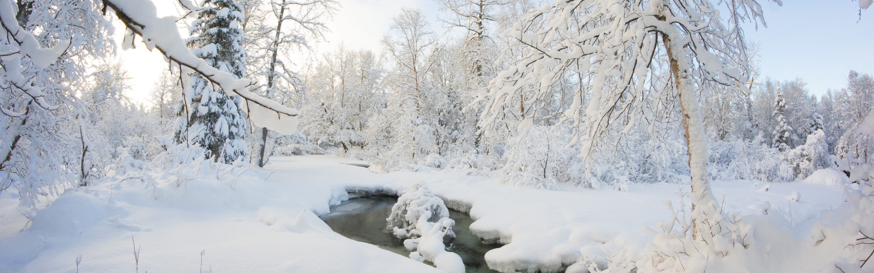 Winter Snow Ice Stream Nature