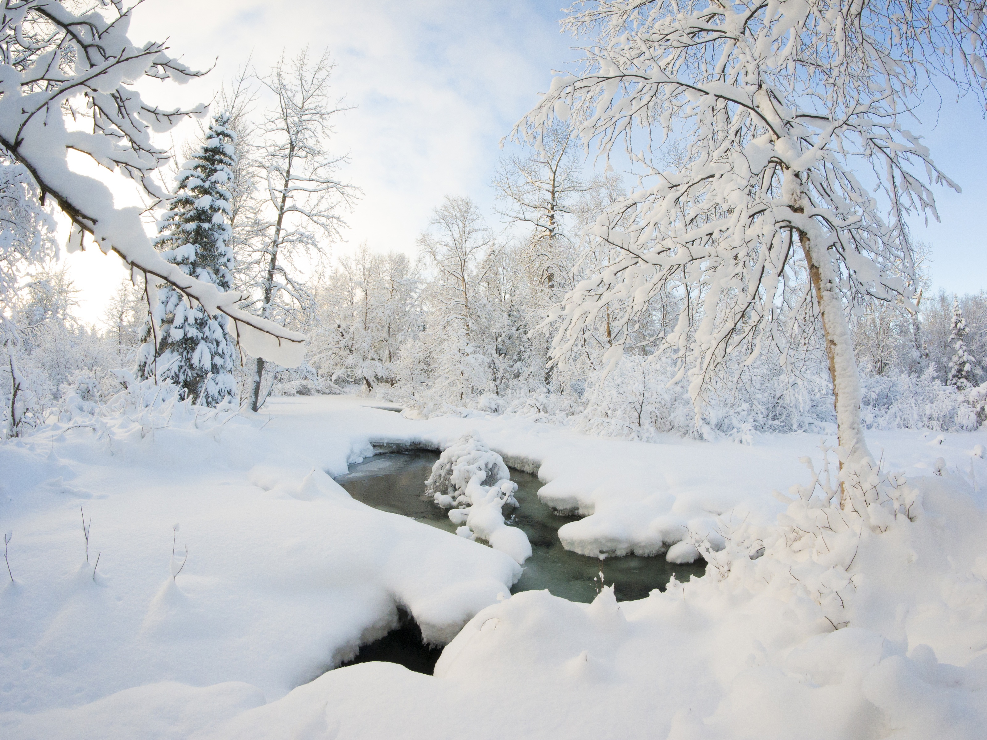 Winter Snow Ice Stream Nature