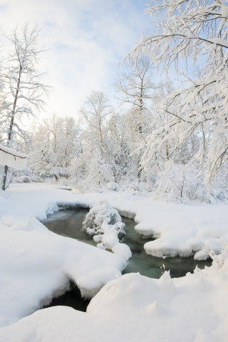 Winter Snow Ice Stream Nature