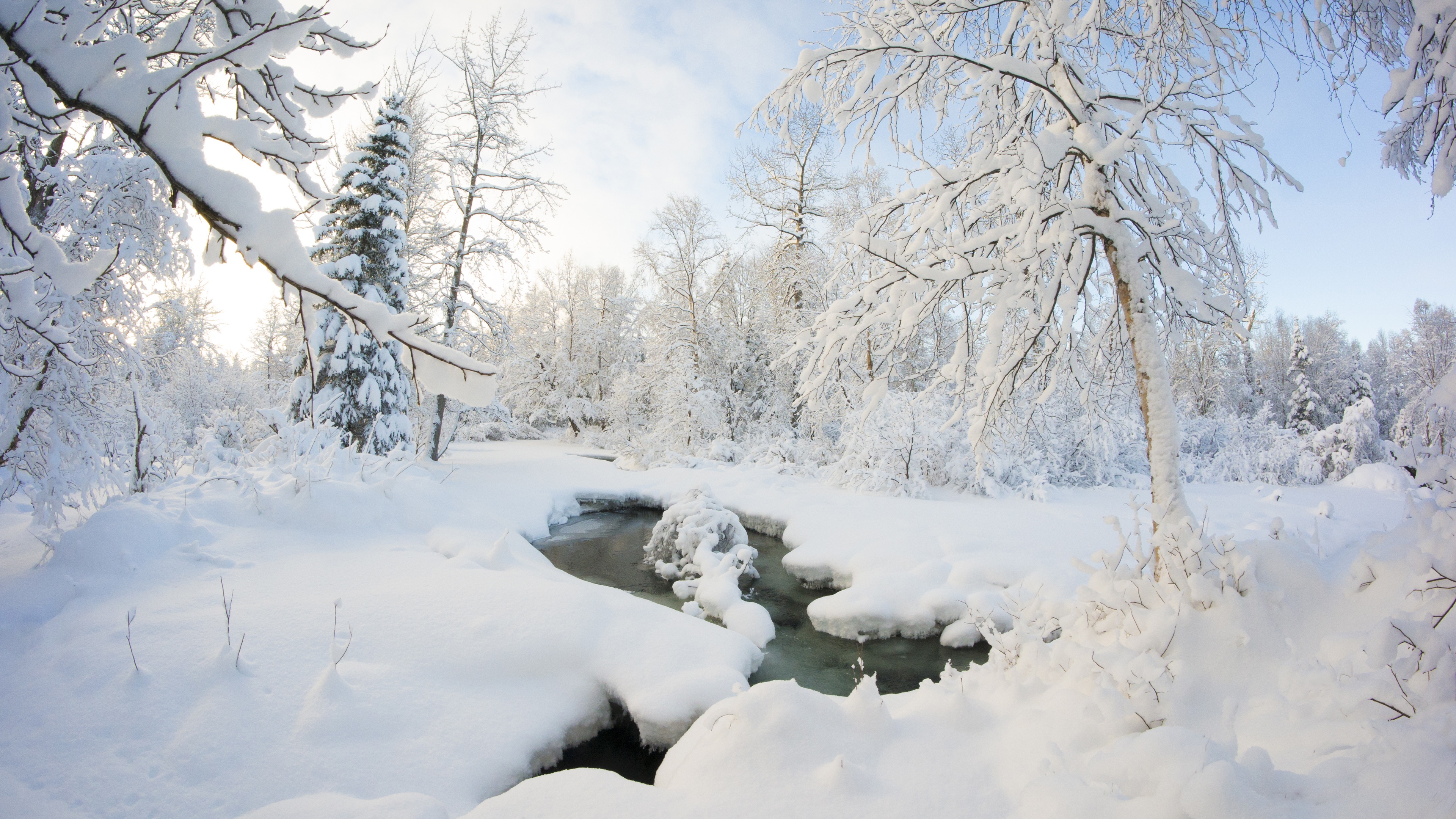 Winter Snow Ice Stream Nature