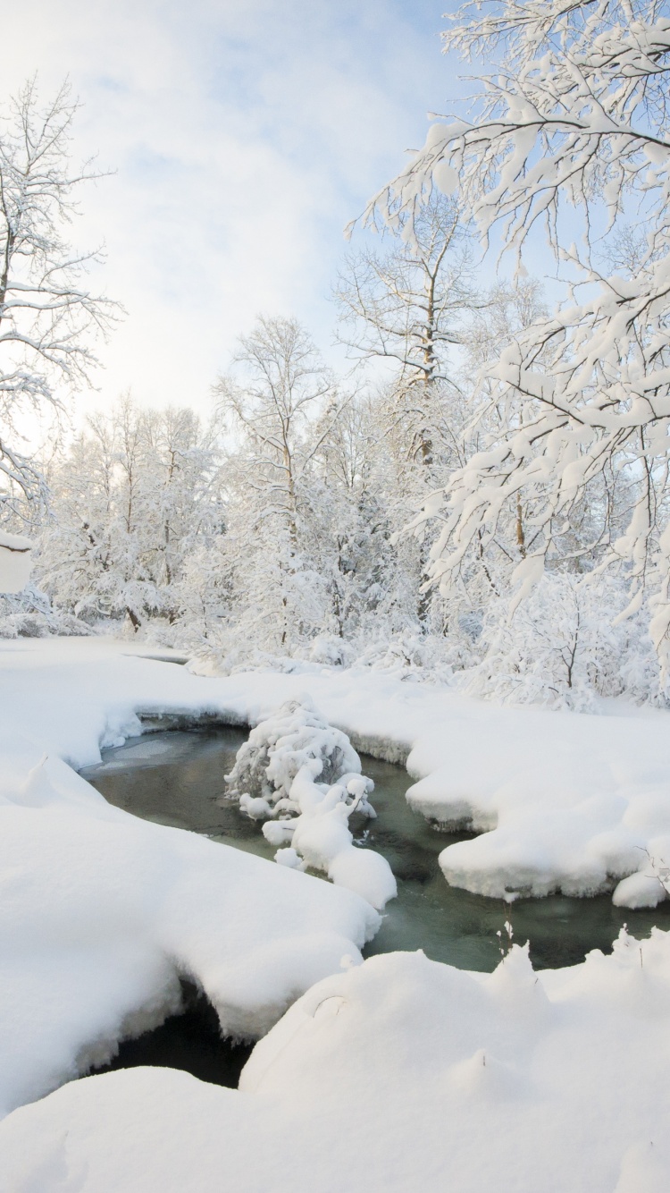 Winter Snow Ice Stream Nature