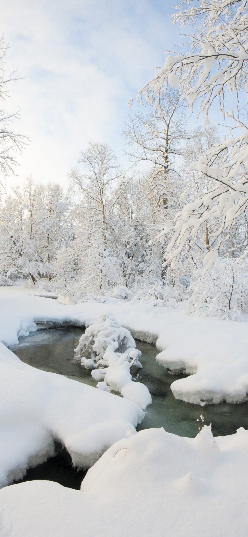 Winter Snow Ice Stream Nature