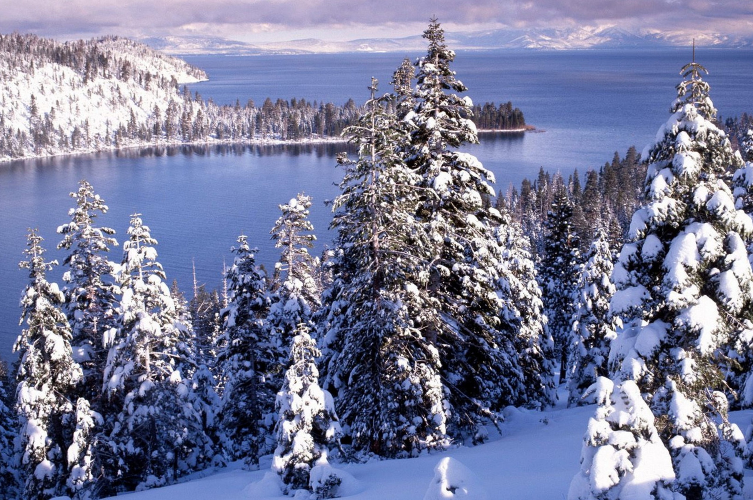 Winter White Forest And Cold Water