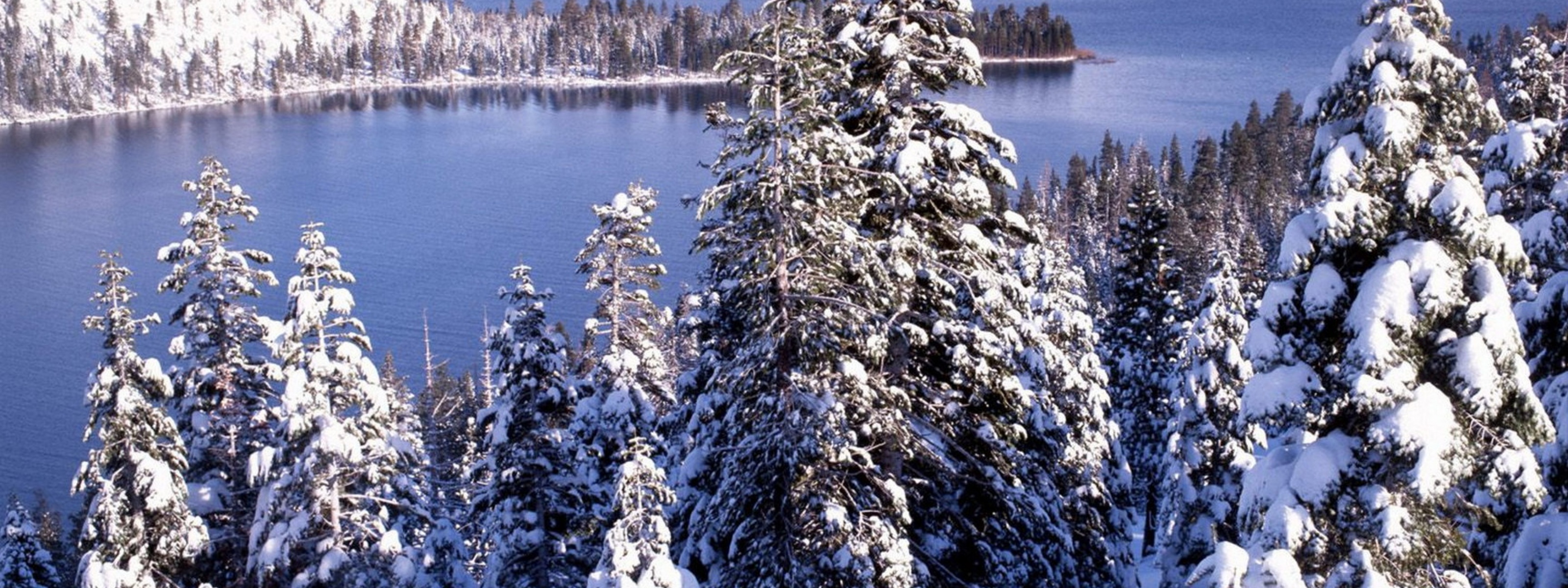 Winter White Forest And Cold Water