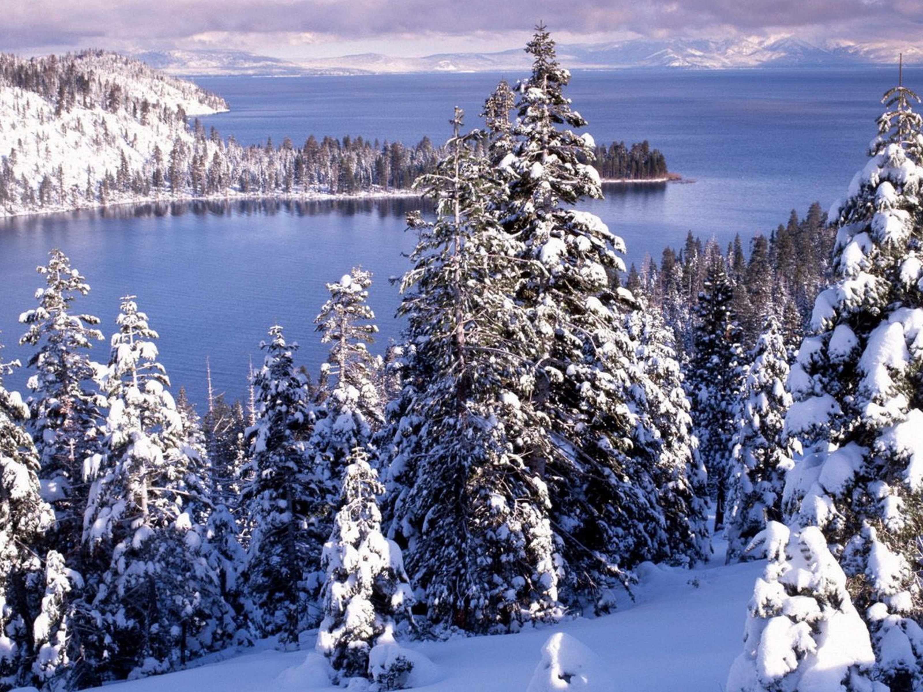 Winter White Forest And Cold Water