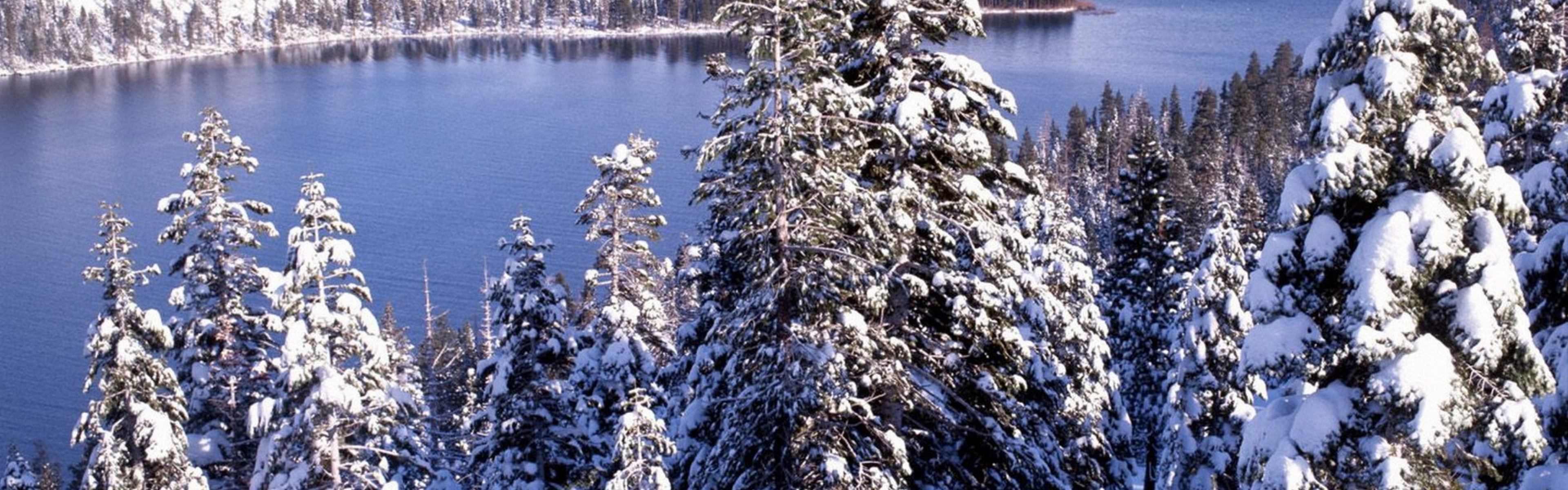 Winter White Forest And Cold Water