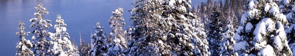 Winter White Forest And Cold Water