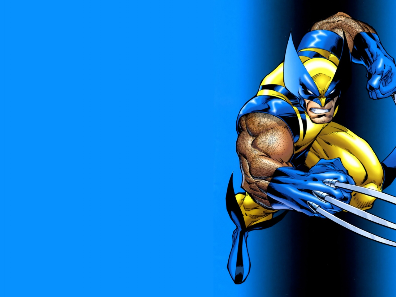 Wolverine