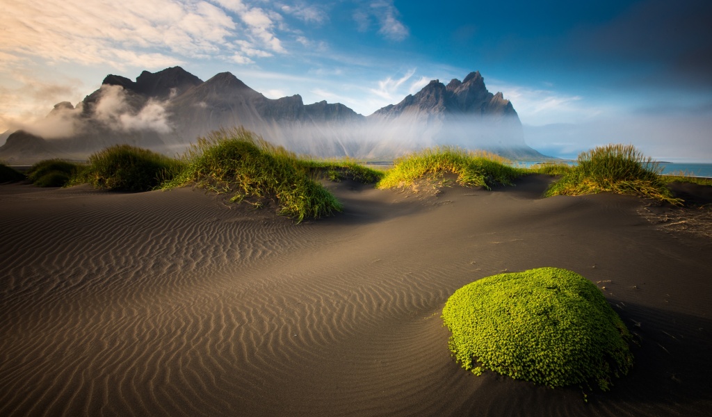 Wonderful Beach Scenery