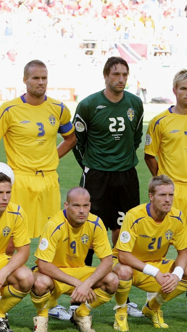 World Cup Sweden National Football Team Players