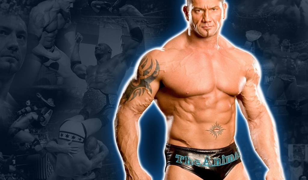 Wwe Superstar Batista