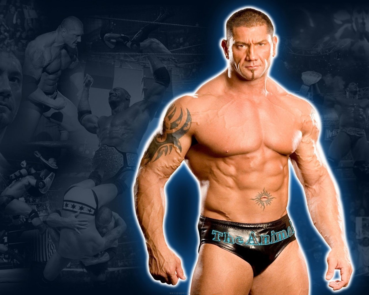 Wwe Superstar Batista