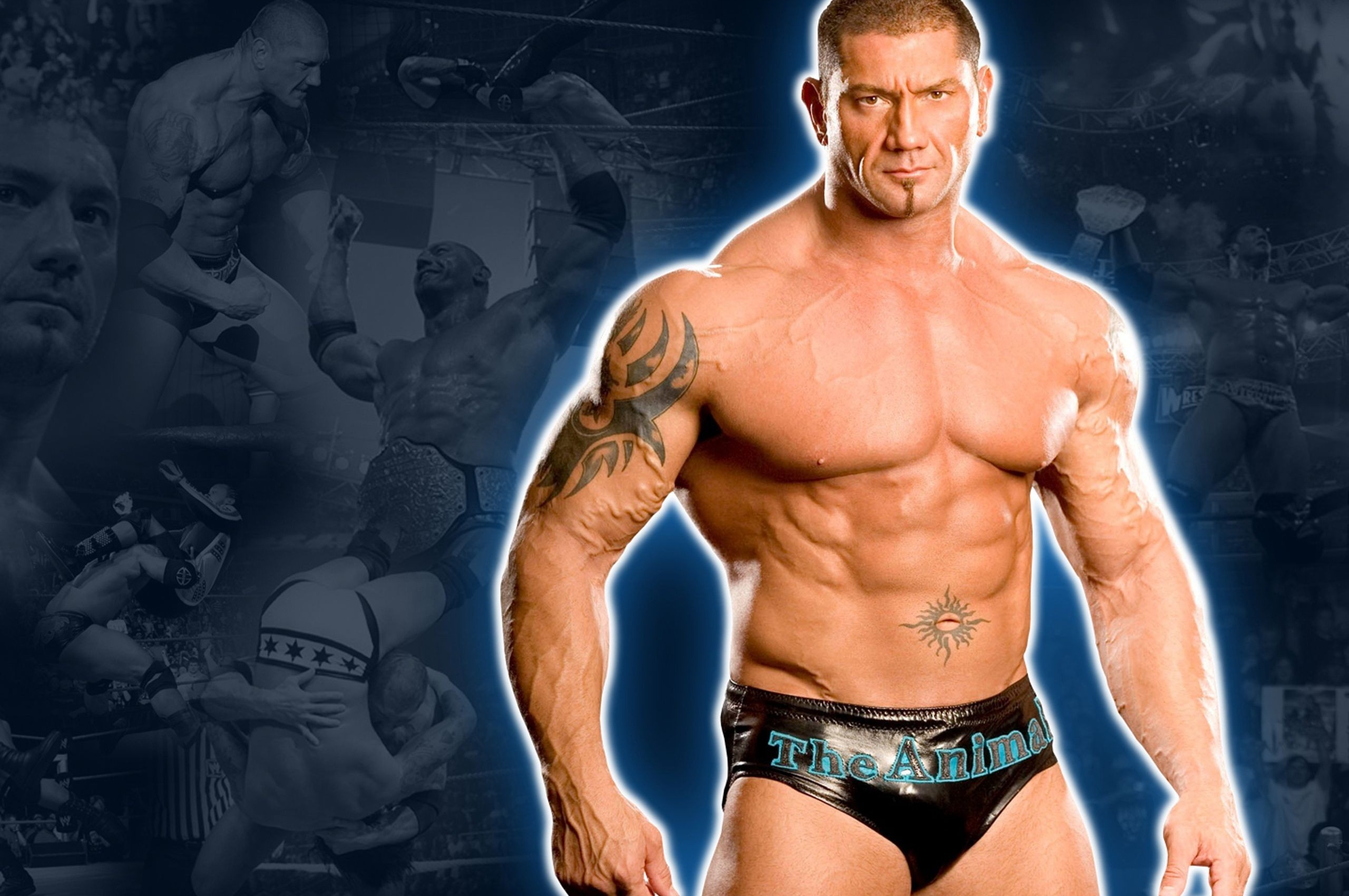 Wwe Superstar Batista