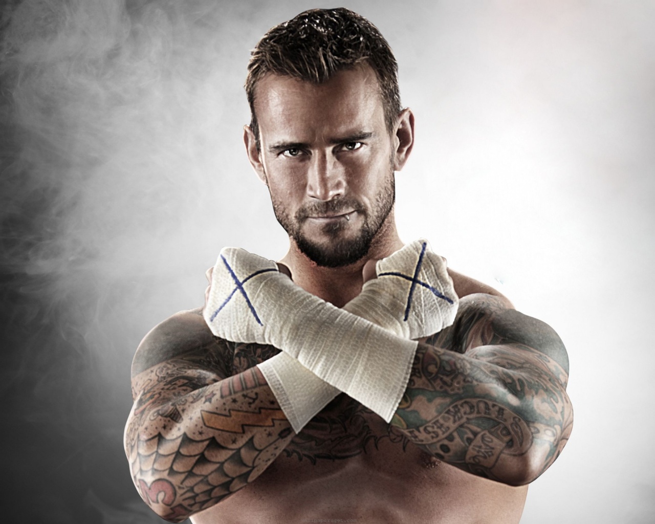 Wwe Superstar Cm Punk