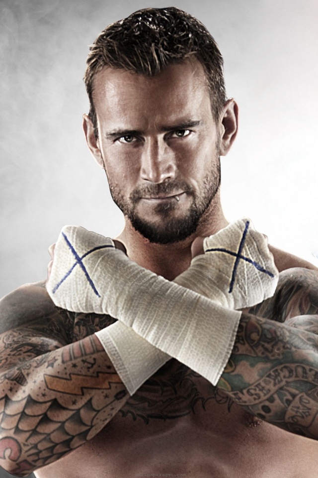 Wwe Superstar Cm Punk