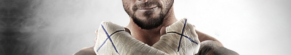 Wwe Superstar Cm Punk