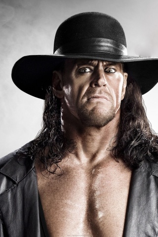 Wwe Superstars Career Wrestling King Undertaker Rip