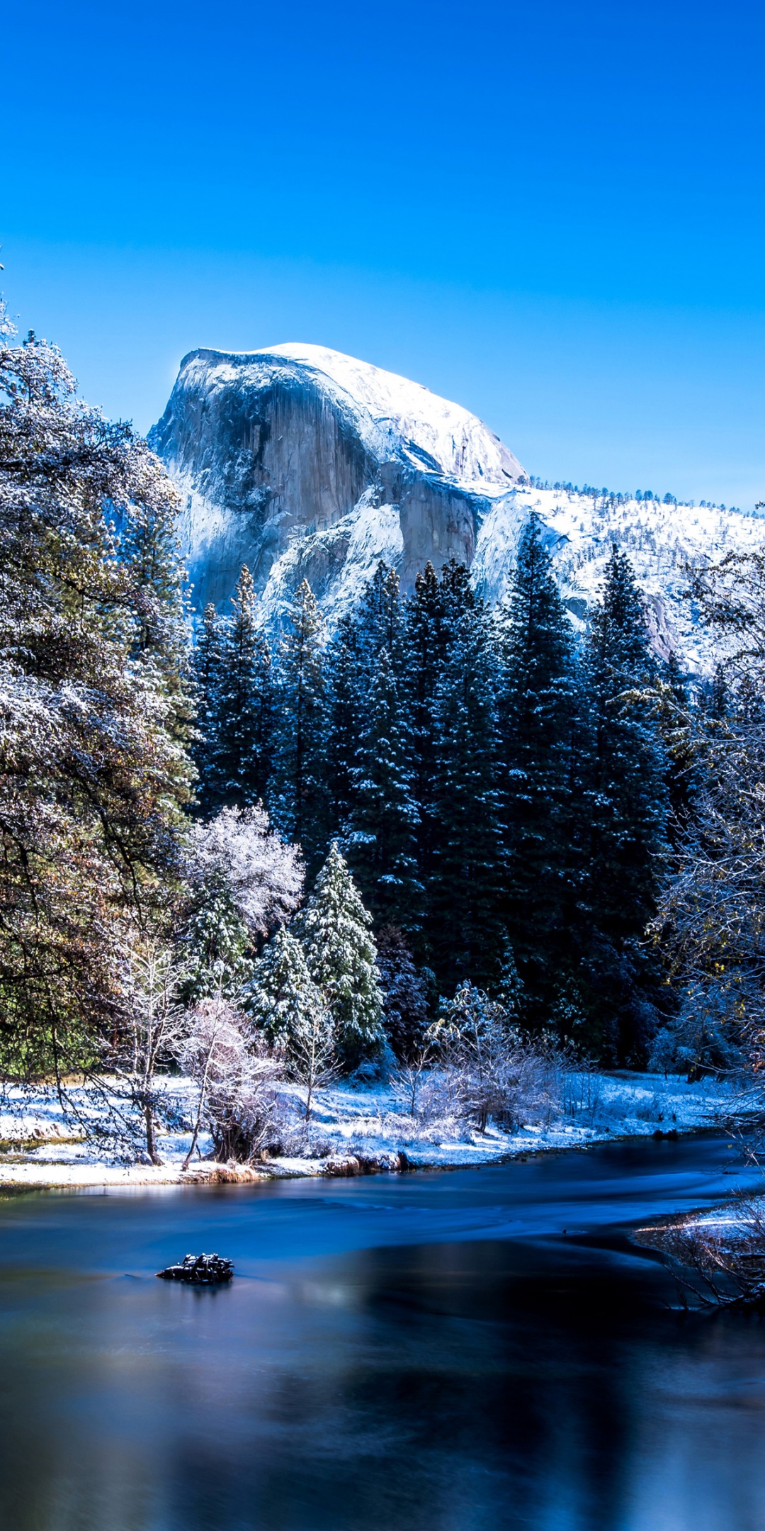 Yosemite National Park In Winter