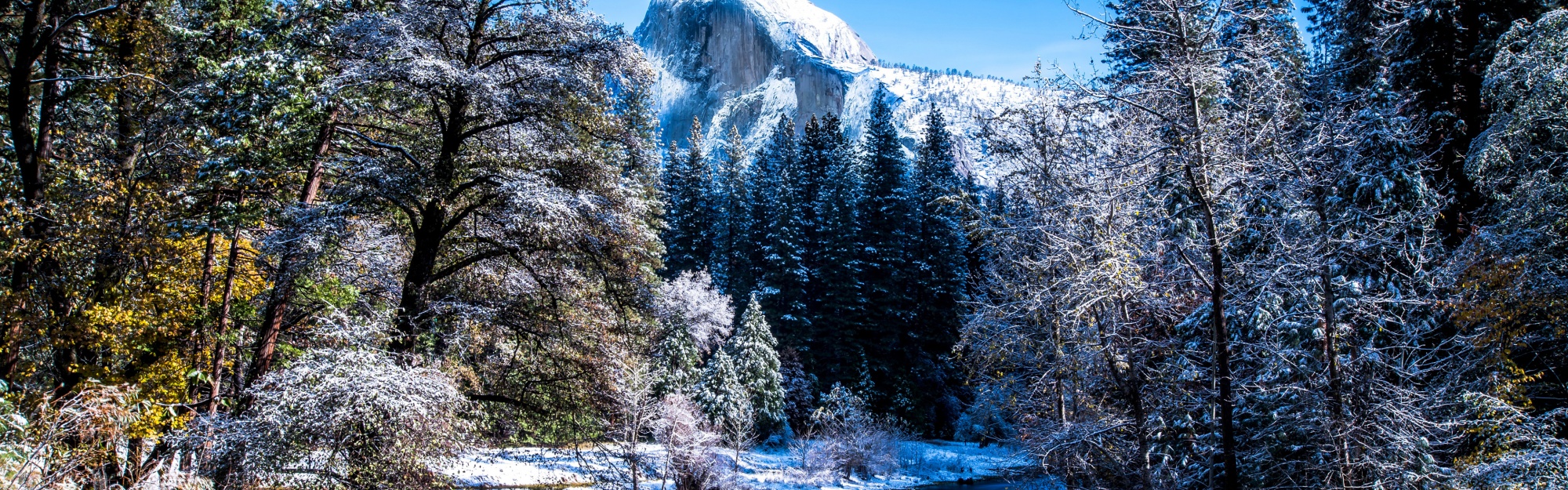 Yosemite National Park In Winter