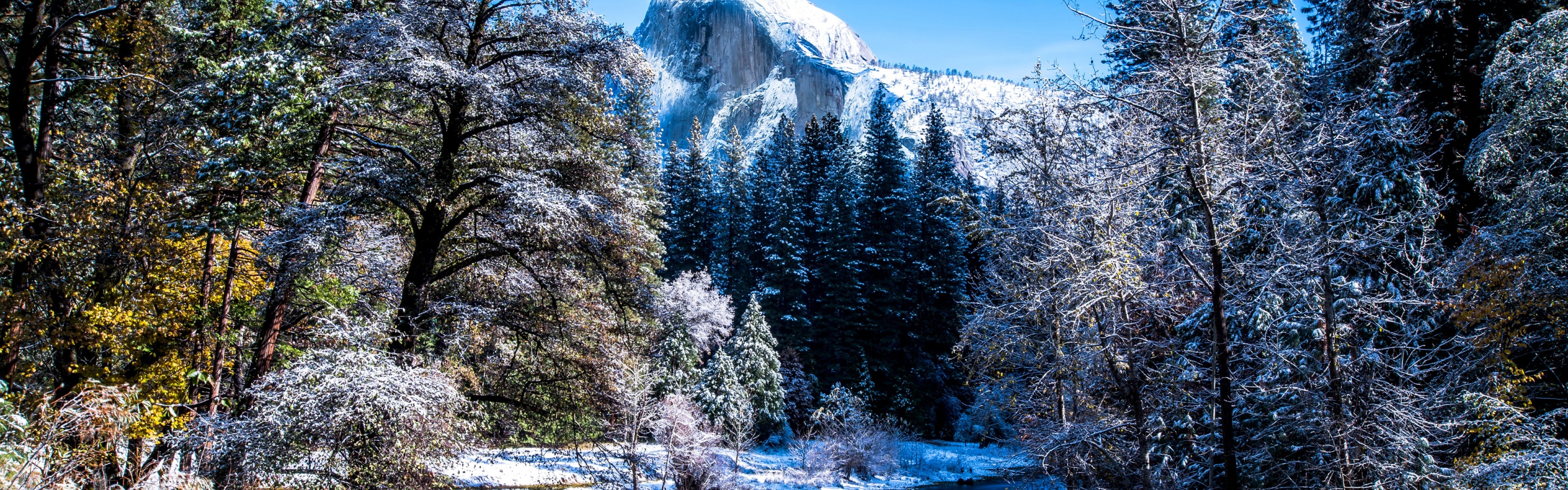 Yosemite National Park In Winter