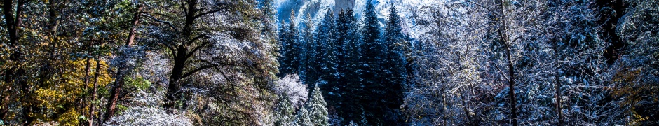 Yosemite National Park In Winter